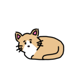 丸くなる猫